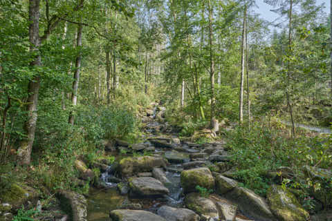 Gemeinde Waldkirchen Landkreis Freyung-Grafenau Saußbachklamm (Dirschl Johann) Deutschland FRG